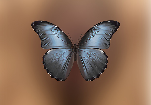 ab-b-vungkin ab-b-vungkin